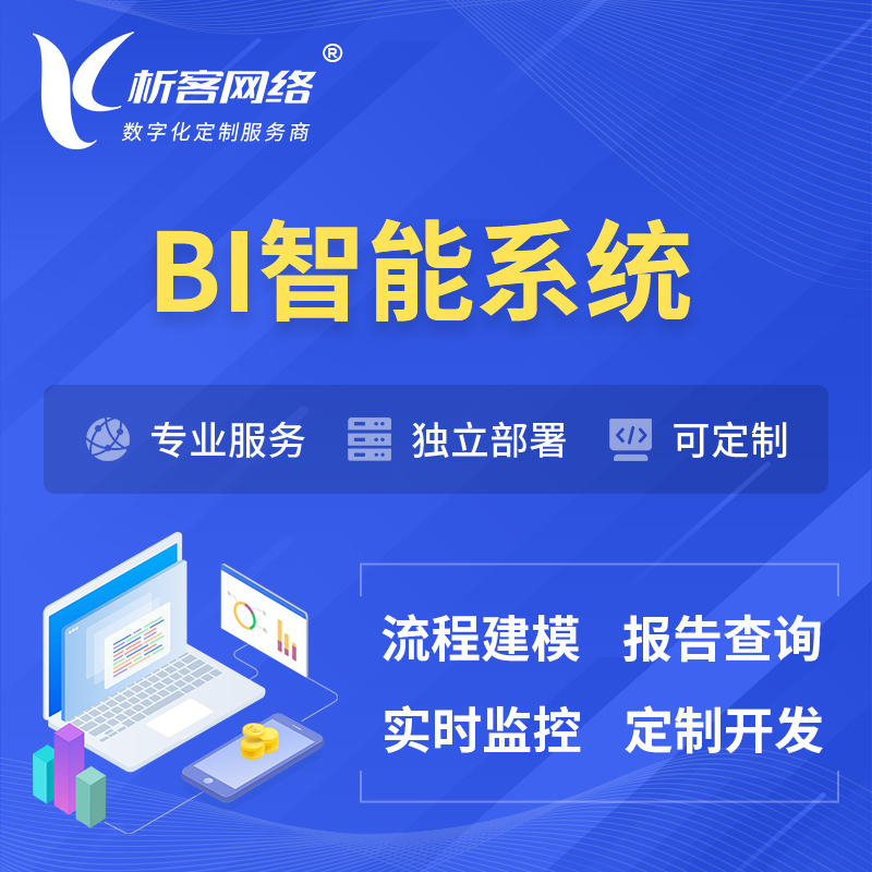 定安县BI智能系统 | BI数据可视化