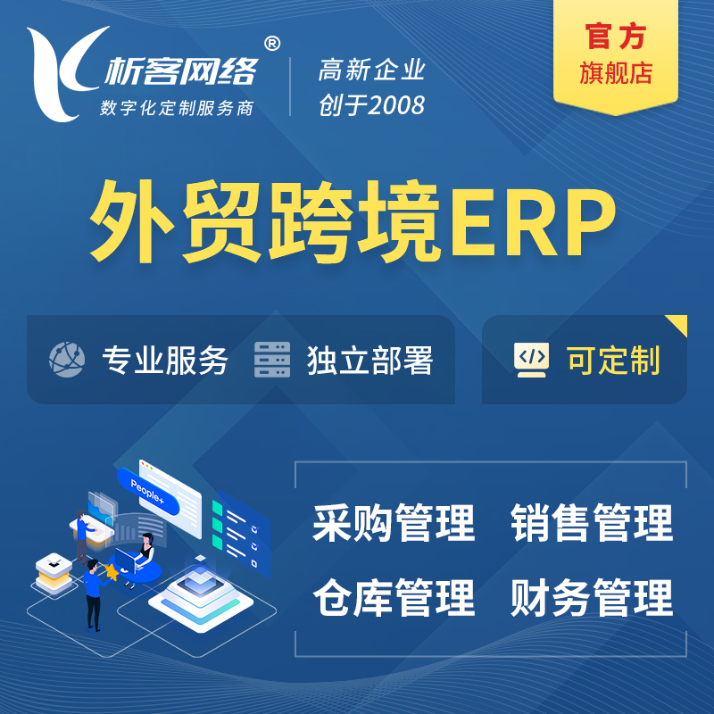 定安县外贸跨境ERP软件生产海外仓ERP管理系统