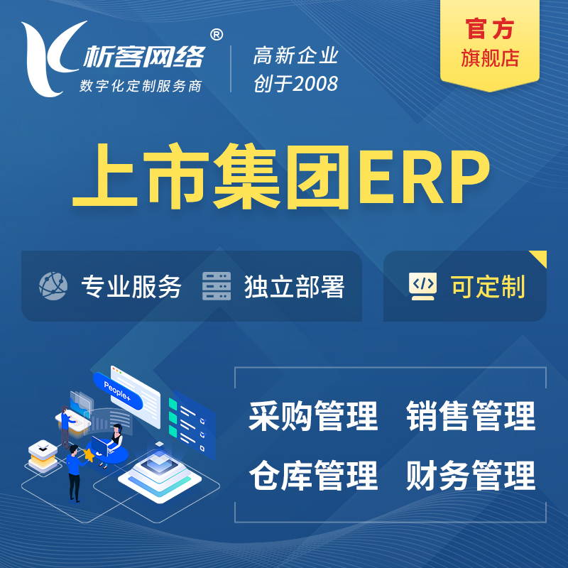 定安县上市集团ERP软件生产MES车间管理系统